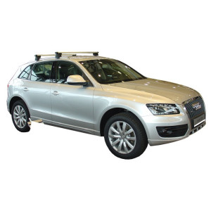 Tavita portbagaj Basic - Audi Q5 I 8R (fara sine)