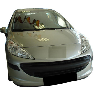 Tavita portbagaj Basic - Peugeot 207 hatchback