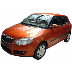 Tavita portbagaj Basic - Skoda Fabia 2 (5J) hatchback 2007-2014