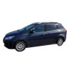 Tavita portbagaj Basic - Ford C-MAX Grand (5 loc)