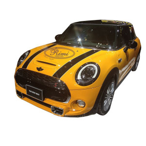 Tavita portbagaj Premium - Mini One / Cooper 3 (2014-prezent)