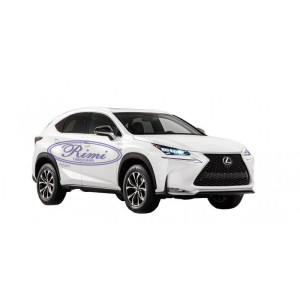 Tavita portbagaj Clasica - Lexus NX (AZ10) 2015-2021