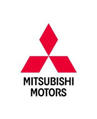 Covorase tip tavita speciale pentru Mitsubishi