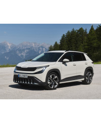 Preșuri auto dedicate Skoda Epiq