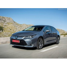 Toyota Corolla E210 2019-prezent