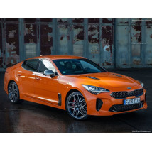 Covorase Kia Stinger