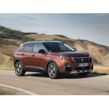 Covorase Peugeot 3008