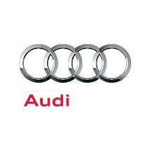 Sisteme de fixare covorase Audi