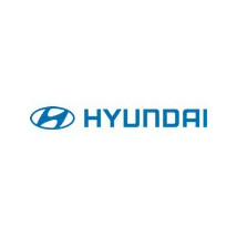 Sisteme de fixare covorase Hyundai