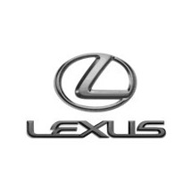 Sisteme de fixare covorase Lexus