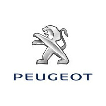 Sisteme de fixare covorase Peugeot