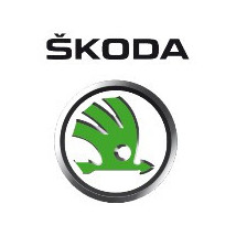 Sisteme de fixare covorase Skoda