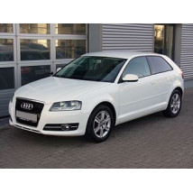 Audi A3 (8P) 2003-2012 