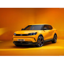 Tavite portbagaj speciale Ford Capri